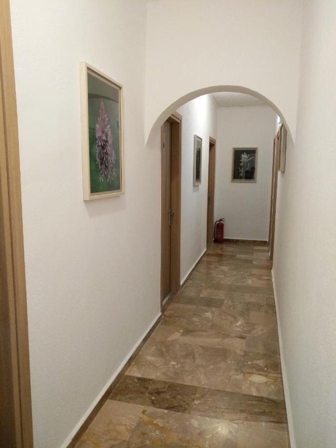 Appartement Calypso à Agía Rouméli Extérieur photo